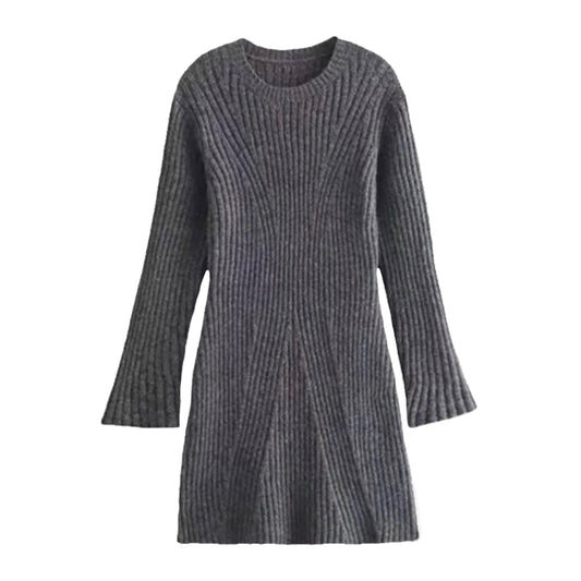 Dark grey charcoal ribbed knit bodycon mini sweater dress with slim fit silhouette, lightweight cozy knitted fabric, long sleeves, and round crewneck neckline. Soft, comfy, warm winter 2025 sweater dress for women and teens, ideal for fall, autumn, holiday season, Christmas parties, everyday casual looks, elegant evening outfits, and chic classic minimalist style. Worldwide global shipping available to US, Australia, New Zealand, UK, Canada, Europe, Asia, and more.


